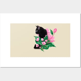 Black cat in cherry blossom Posters and Art